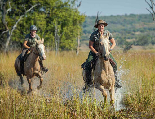 Horse Riding Safari in Botswana