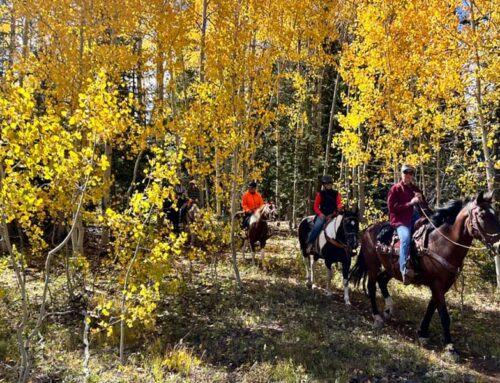 September Birthday Color Ride & Steak Fry